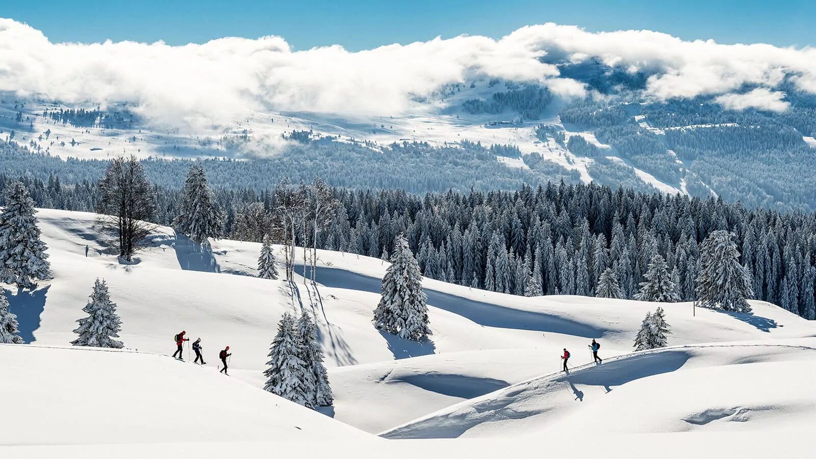 Ski